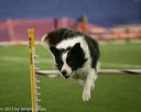 20150321-leap-0939