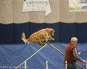 20150321-leap-0969