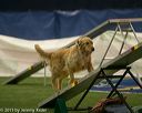 20150321-leap-0971