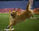 20150321-leap-0974