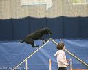 20150321-leap-0978