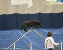 20150321-leap-0980