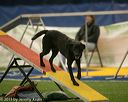 20150321-leap-0985