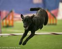 20150321-leap-0987