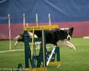 20150321-leap-0989