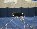 20150321-leap-0993