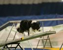 20150321-leap-0996