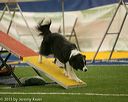 20150321-leap-0997