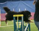 20150321-leap-1001
