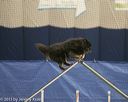 20150321-leap-1004