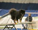 20150321-leap-1009