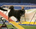 20150321-leap-1010