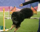 20150321-leap-1012