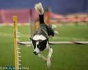 20150321-leap-1014
