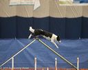 20150321-leap-1018