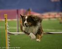 20150321-leap-1026