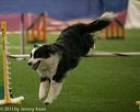 20150321-leap-1033