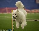 20150321-leap-1037