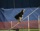 20150321-leap-1048