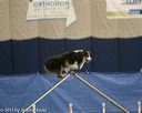 20150321-leap-1049