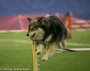 20150321-leap-1059