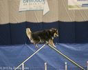 20150321-leap-1060