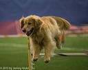 20150321-leap-1069