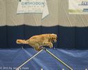 20150321-leap-1070