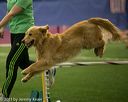 20150321-leap-1079