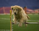 20150321-leap-1080