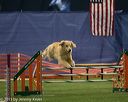 20150321-leap-1081