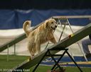 20150321-leap-1083