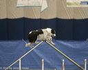 20150321-leap-1091