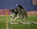20150321-leap-1097