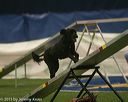 20150321-leap-1100