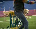 20150321-leap-1104
