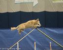 20150321-leap-1106