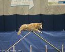20150321-leap-1107