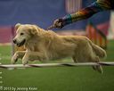 20150321-leap-1111