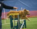 20150321-leap-1121
