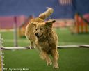 20150321-leap-1122