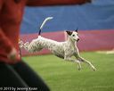 20150321-leap-1127