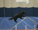 20150321-leap-1136