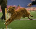 20150321-leap-1148