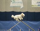 20150321-leap-1150