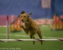 20150321-leap-1167