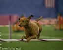 20150321-leap-1168