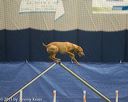 20150321-leap-1169