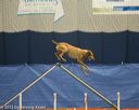 20150321-leap-1170