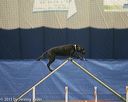 20150321-leap-1194